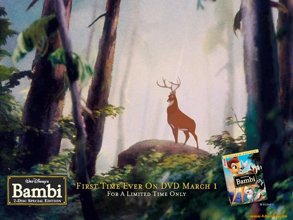 , bambi